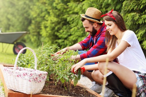 Local stump removal service preparing a residential garden in Bromley