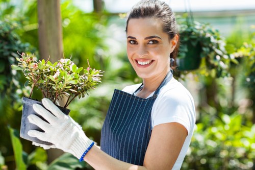 Tree removal service for a Bromley home garden