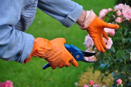 Bromley tree surgeon completing a carefully planned tree care job safely