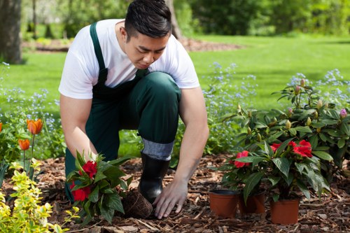Close-up of a professional tree surgeon at work with safety gear