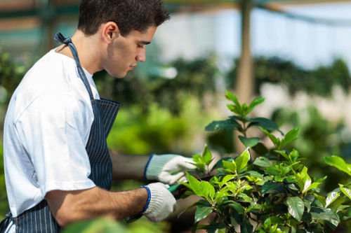 Accepted payment methods for Bromley tree surgery clients