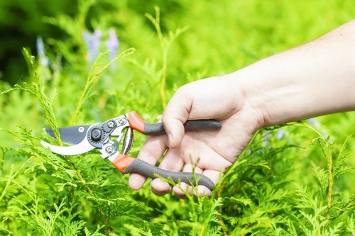 Safe and flexible Tree Surgeon Bromley payment area