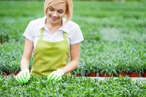 Professional tree surgeon closing a complaint case with records