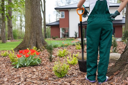Inspection of completed tree work during a complaint review