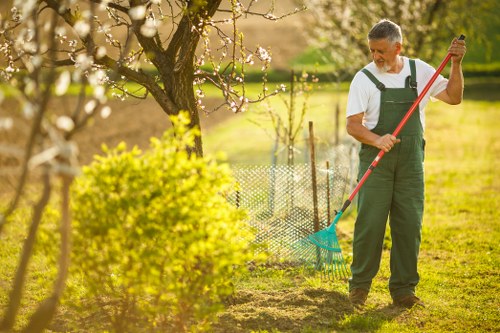 Local tree surgeon providing expert care for a Bromley property